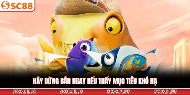 Hãy dừng bắn ngay nếu thấy mục tiêu khó hạ